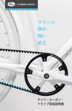 クリーン 静か 軽い 頑丈 - Gates Carbon Drive