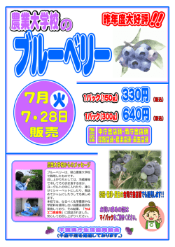（火）『農業大学校のブルーベリー」