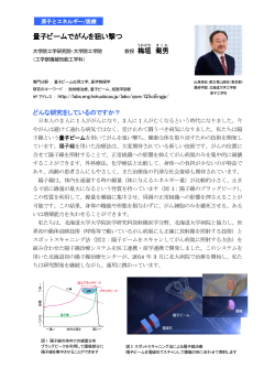 量子ビームでがんを狙い撃つ（教授 梅垣 菊男）