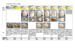 自費診療シート