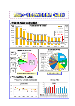 刑法犯の認知状況（6月末）