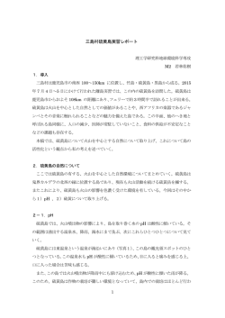 レポート（PDF）