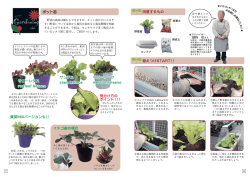 ポット苗の植えつけ