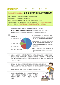 花の苗を植える時の留意点