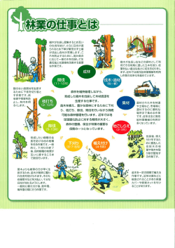 林業の仕事とは(パンフレット) [PDFファイル／140KB]