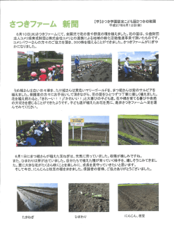 6月ー0日(水)さつきファームにて、全園児で花の苗や野菜の種を植えまし