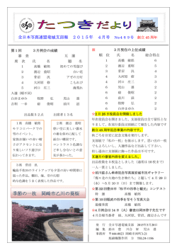 季節の一枚 岡崎市乙川の葵桜