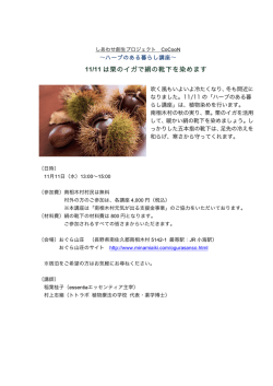 11/11の植物染め〜栗のイガ