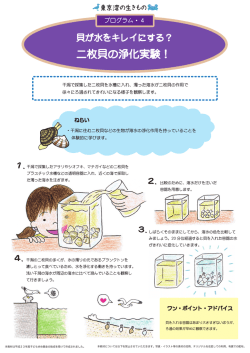 プログラム4：貝が水をキレイにする？二枚貝の浄化実験！