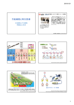 ES細胞とiPS細胞 問題点と未来