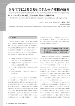 免疫工学による免疫システム分子機構の解析