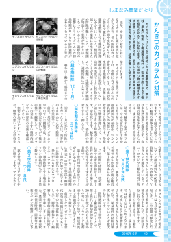 しまなみ農業だより [PDFファイル／937KB]