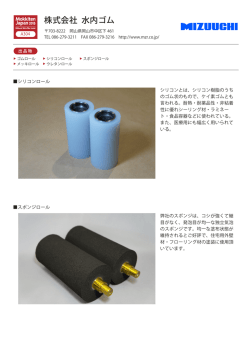 株式会社 水内ゴム
