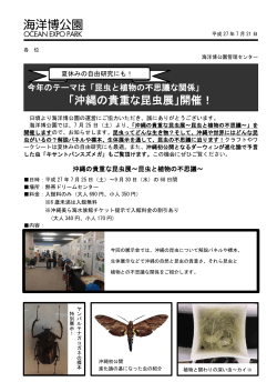 「沖縄の貴重な昆虫展」開催！