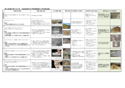 単元指導計画（2014年 北海道教育大学附属釧路小学校実施版）