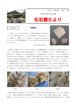 2月号 №46 方解石