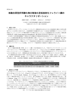核融合原型炉用酸化物分散強化型低放射化フェライト鋼の キャラ
