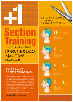 HG+G S+L S+HG