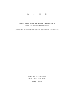 論文要旨（要約）