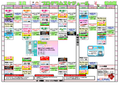 プログラムスケジュール - ホリデイスポーツクラブ