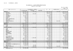貸借対照表内訳表（PDF:49KB）