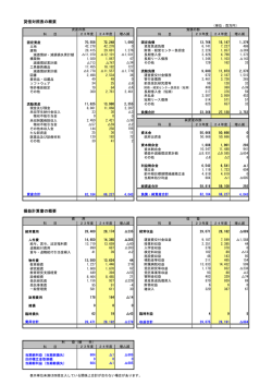 貸借対照表の概要 損益計算書の概要