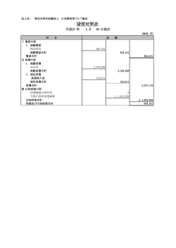 貸借対照表 - 日本障害者ゴルフ協会