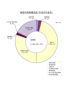 貸借対照表構成図(平成26年度末)