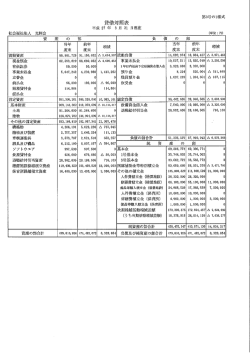 貸借対照表 - 光輝保育園
