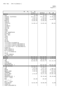 貸借対照表 - 社会福祉法人 わかば会