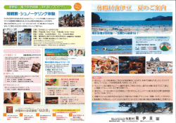 南伊豆 海の自然体験