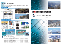 MMB Company Guide