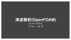 津波解析(OpenFOAM)