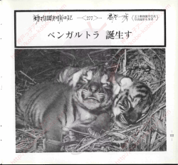 榊回癖記一く277>一議燕く嘉繍風〉