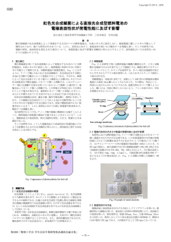 紅色光合成細菌による直接光合成型燃料電池の 電極表面