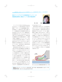 肺炎マイコプラズマの接着滑走マシナリーの 微細構造解明と構成