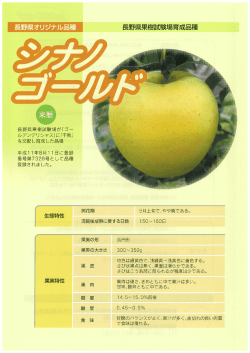 リーフレット
