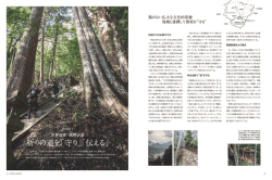 世界遺産・熊野古道 祈りの道を「守り」「伝える」