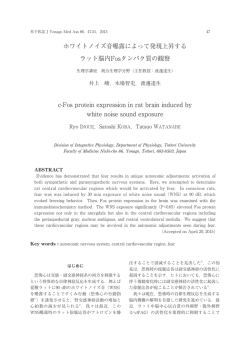 ホワイトノイズ音曝露によって発現上昇する ラット脳内Fosタンパク質の