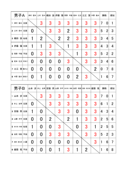 記録：pdf