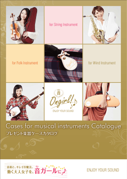 Cases for musical instruments Catalogue