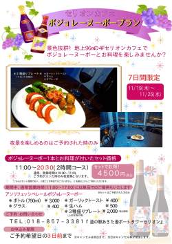 ボジョレーヌーボープランちらしPDF