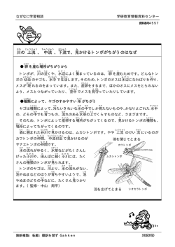 川の上流、中流、下流で、見かけるトンボがちがうのはなぜ