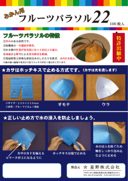 フルーツパラソルパンフレット