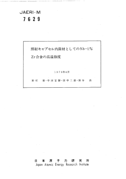 JAERI-M-7629:1.88MB