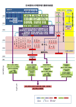 日本医科大学医学部 履修系統図