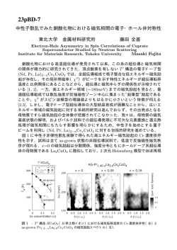 中性子散乱でみた銅酸化物における磁気相間の電子・ホール非対称性
