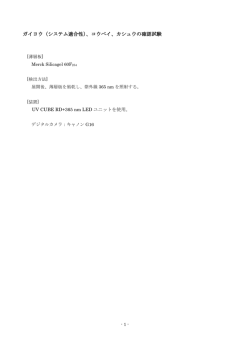 「システム適合性(紫外線ランプ(主波長365nm））」について