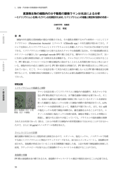 資源微生物の細胞内の分子動態の顕微ラマン分光法による分析