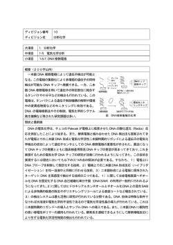 DNA修飾電極